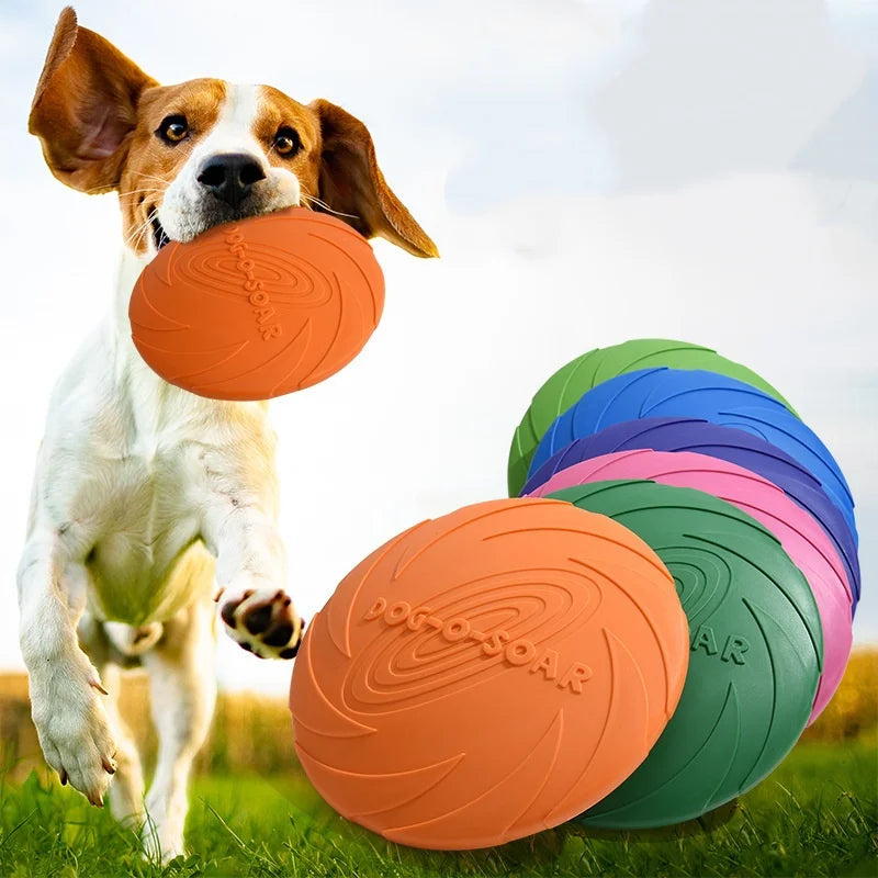 Relaxmydog  Disc – Endless Outdoor Fun 🐕💨