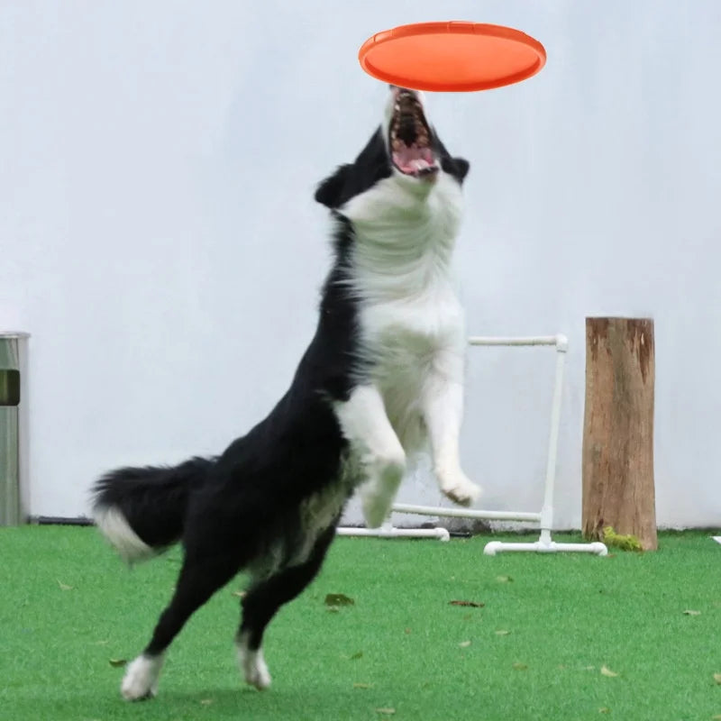 Relaxmydog  Disc – Endless Outdoor Fun 🐕💨