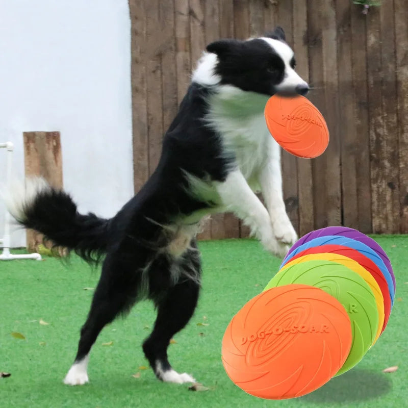 Relaxmydog  Disc – Endless Outdoor Fun 🐕💨