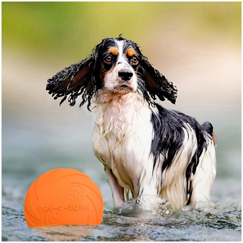 Relaxmydog  Disc – Endless Outdoor Fun 🐕💨