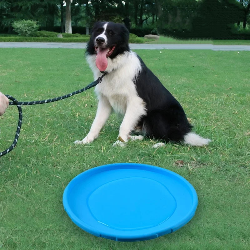 Relaxmydog  Disc – Endless Outdoor Fun 🐕💨